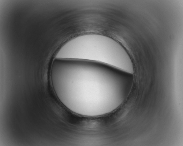 X0000090500299200707130954