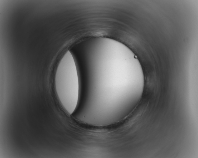 X0000090500304200707130954