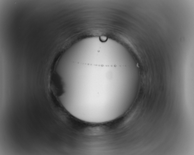 X0000090500307200707130954