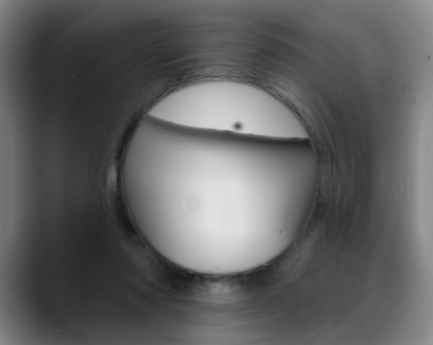 X0000090500310200707130954