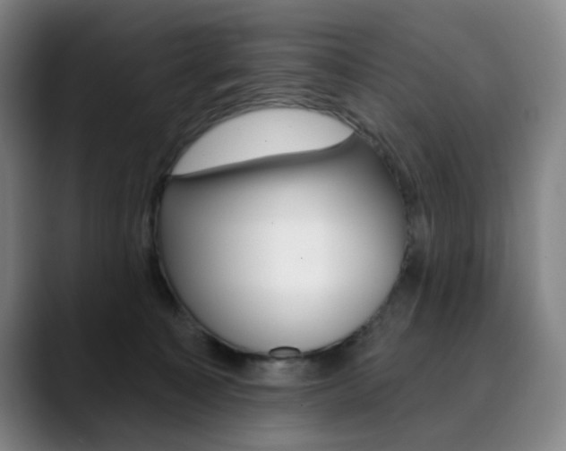 X0000090500323200707130954
