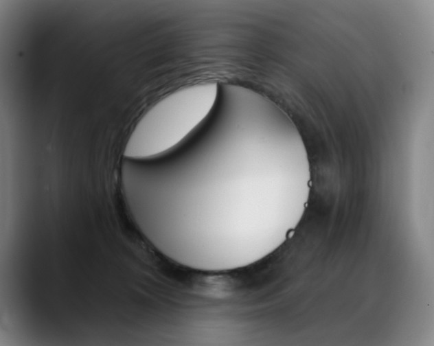 X0000090500324200707130954