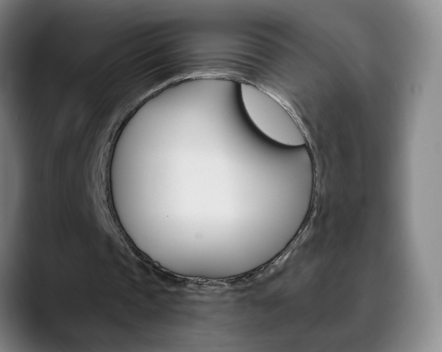 X0000090500337200707130953