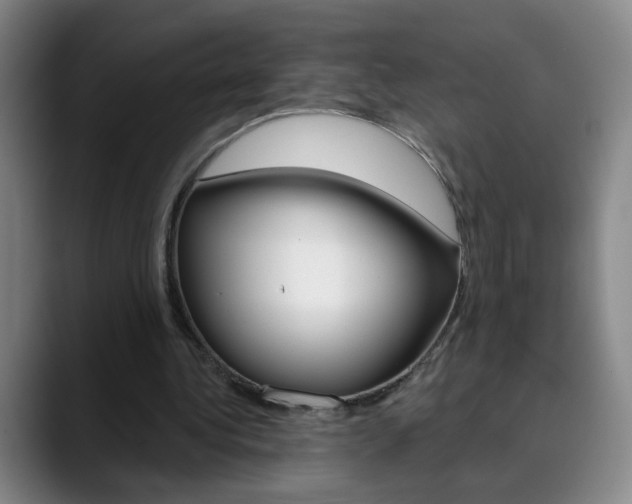 X0000090500340200707130953