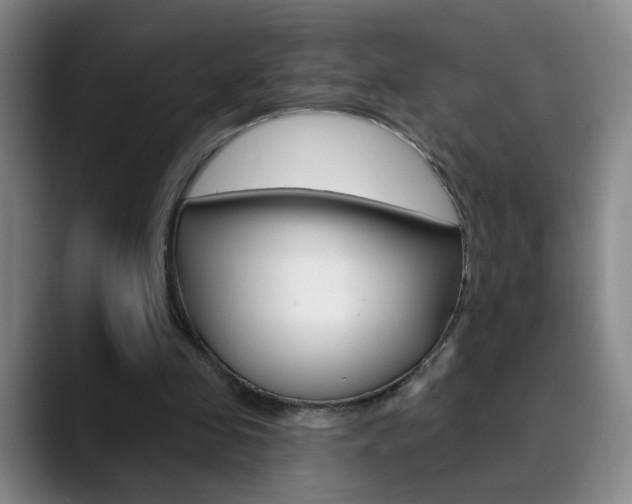 X0000090500341200707130953
