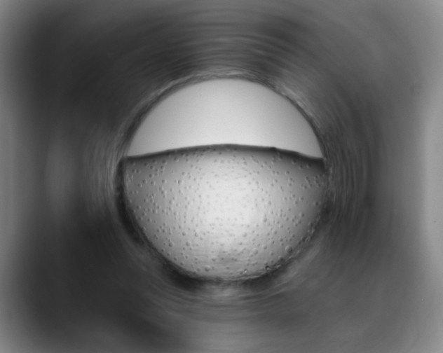 X0000090500351200707130953