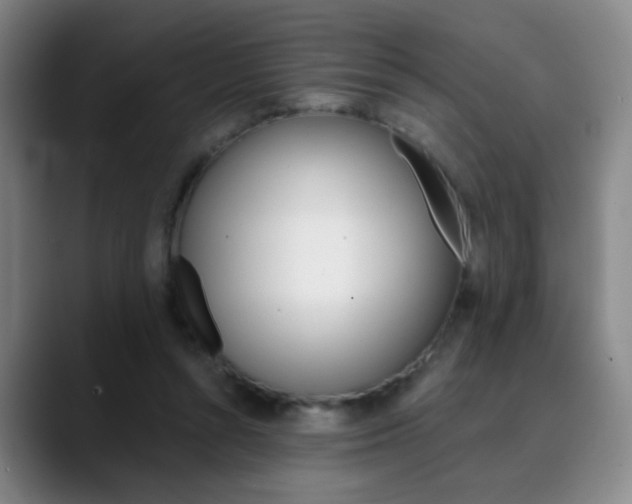 X0000090500352200707130953