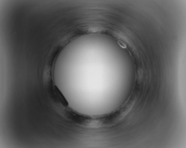 X0000090500356200707130953