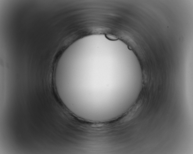 X0000090500357200707130953