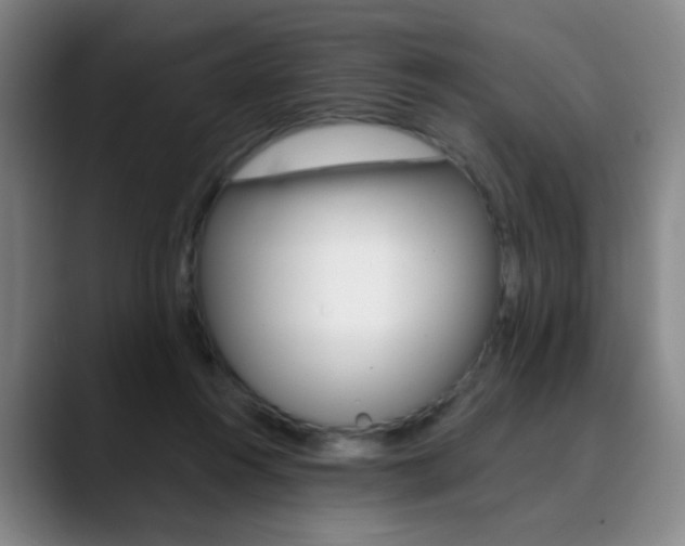 X0000090500360200707130953