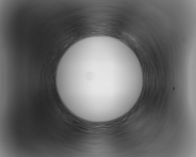 X0000090500364200707130953