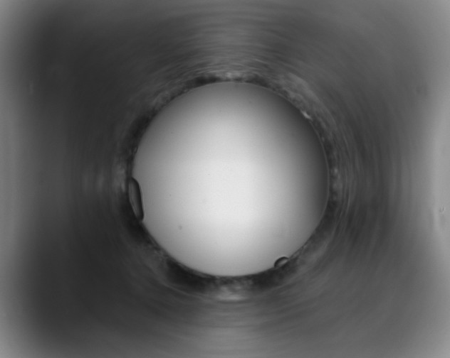 X0000090500368200707130953