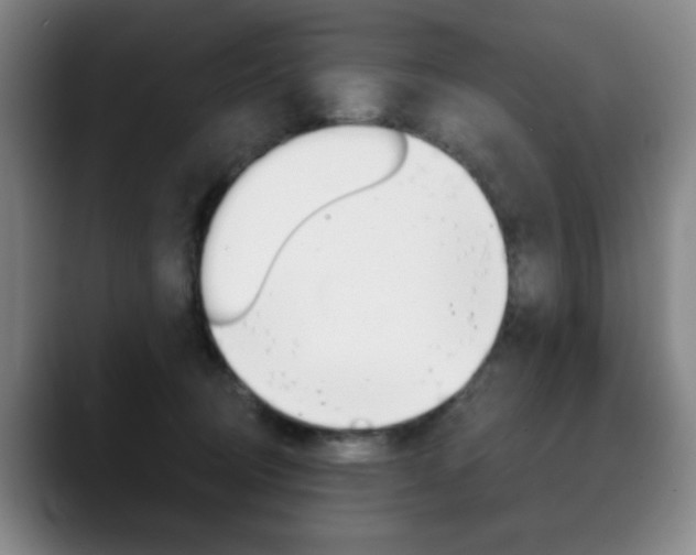 X0000090500370200707130953