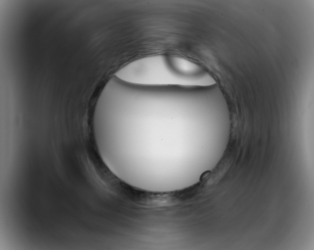 X0000090500377200707130954