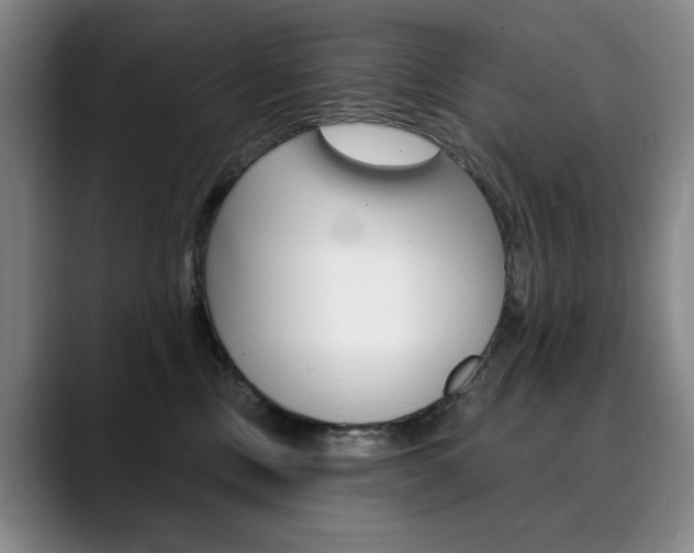 X0000090500378200707130954