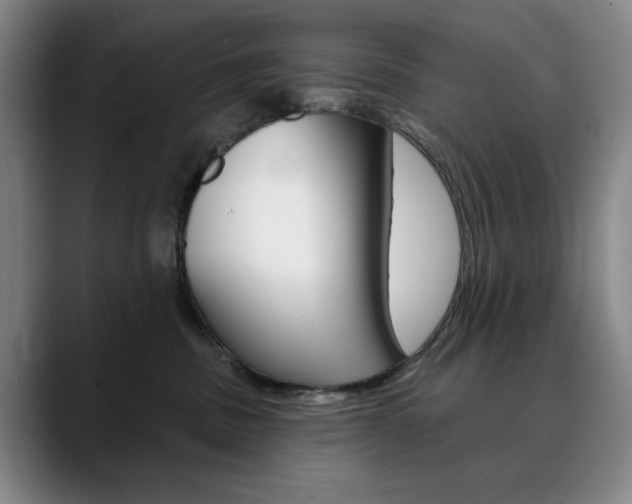 X0000090500379200707130954