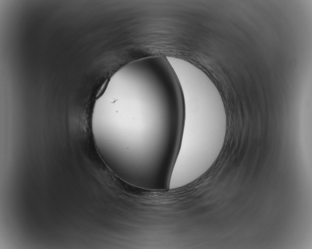 X0000090500380200707130954