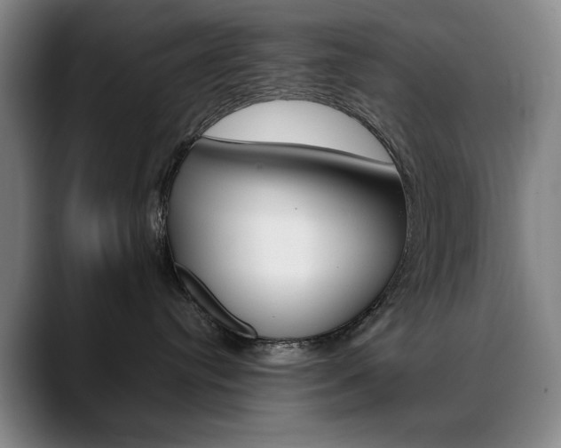 X0000090500384200707130954