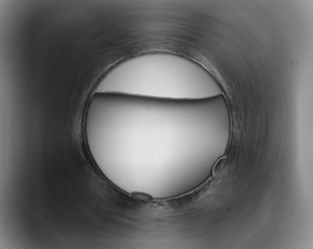 X0000090500386200707130953