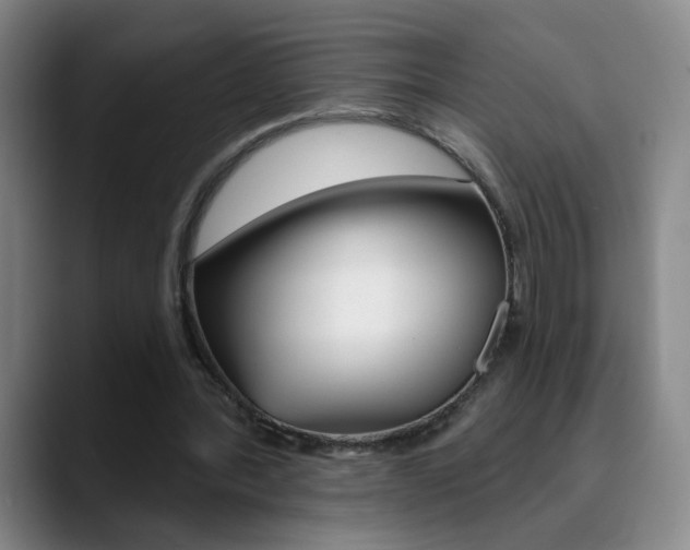 X0000090500388200707130953