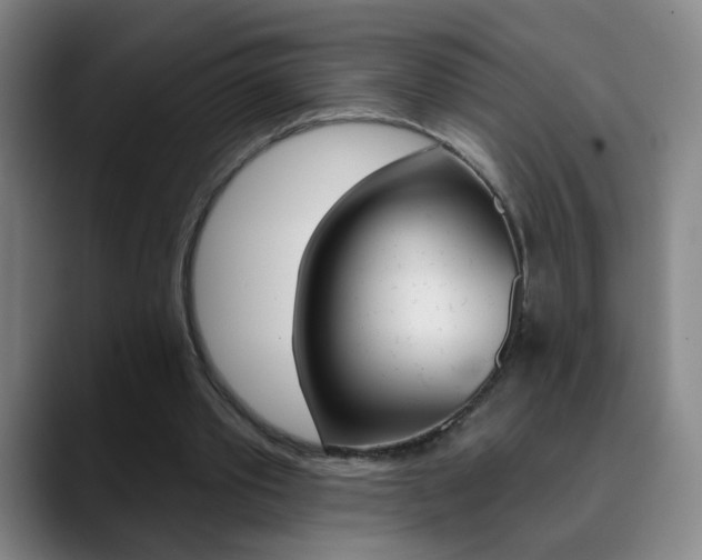 X0000090500389200707130953