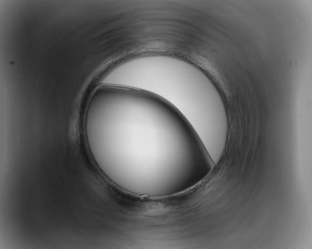 X0000090500392200707130953