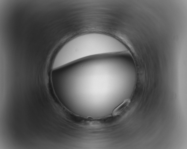 X0000090500395200707130953