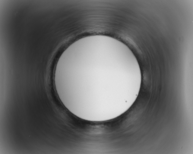 X0000090500396200707130953
