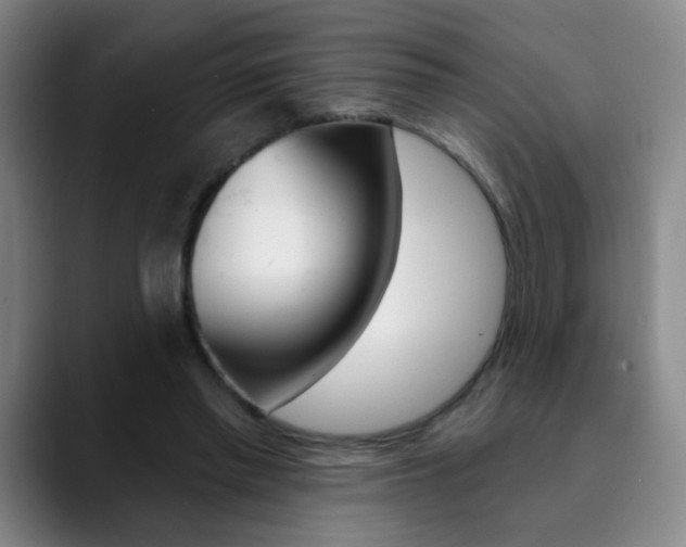 X0000090500397200707130953