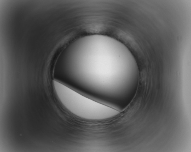 X0000090500400200707130953