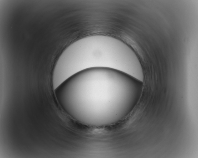 X0000090500401200707130953