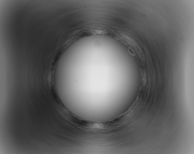 X0000090500409200707130953