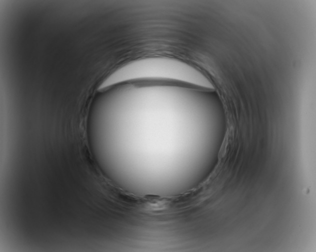 X0000090500411200707130953