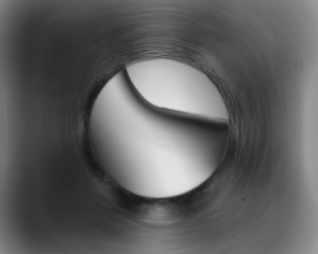X0000090500412200707130953