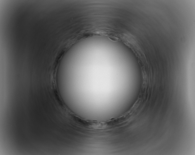 X0000090500415200707130953