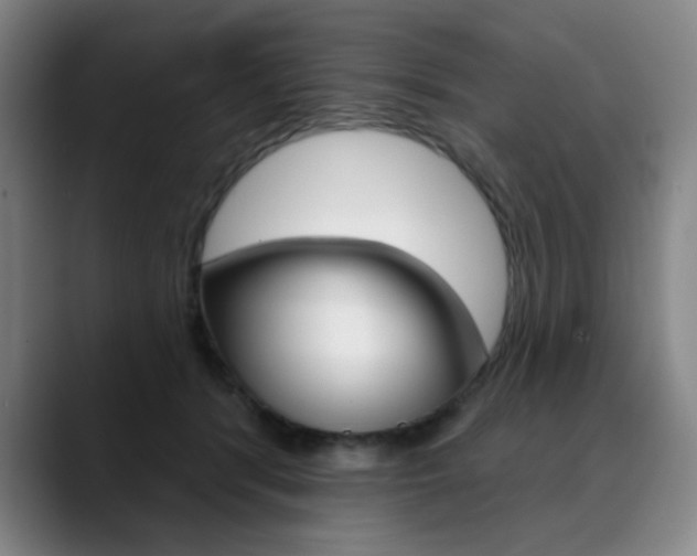 X0000090500416200707130953