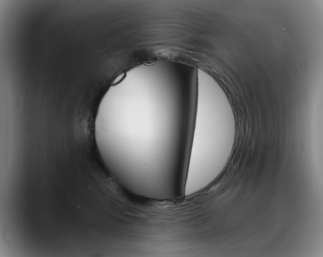 X0000090500424200707130952
