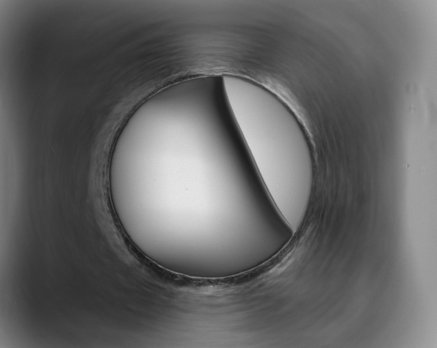 X0000090500433200707130952