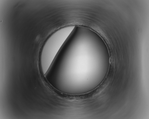 X0000090500434200707130952