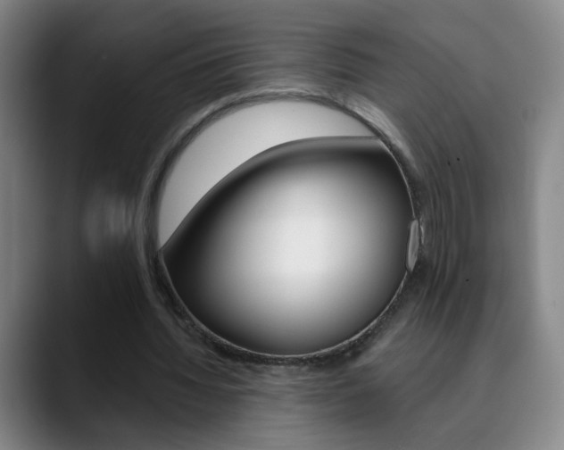 X0000090500436200707130952