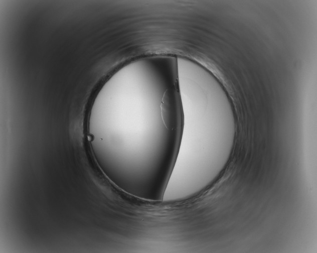 X0000090500438200707130952
