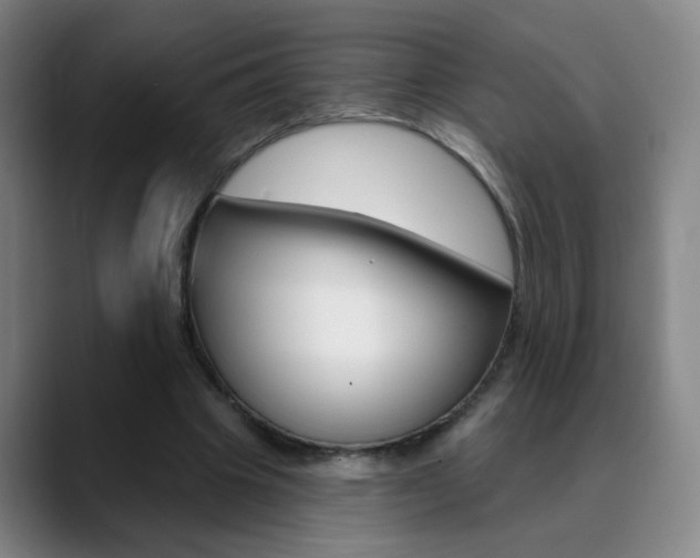 X0000090500441200707130952
