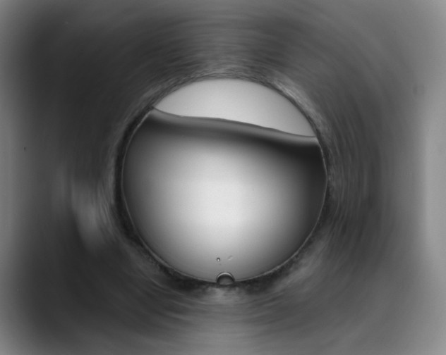X0000090500442200707130952