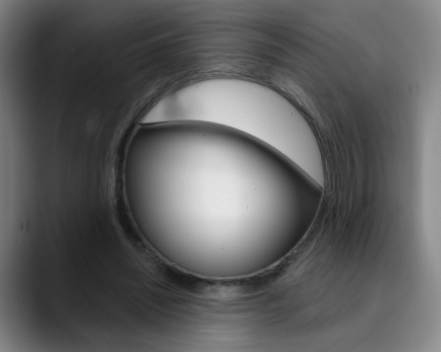 X0000090500444200707130952