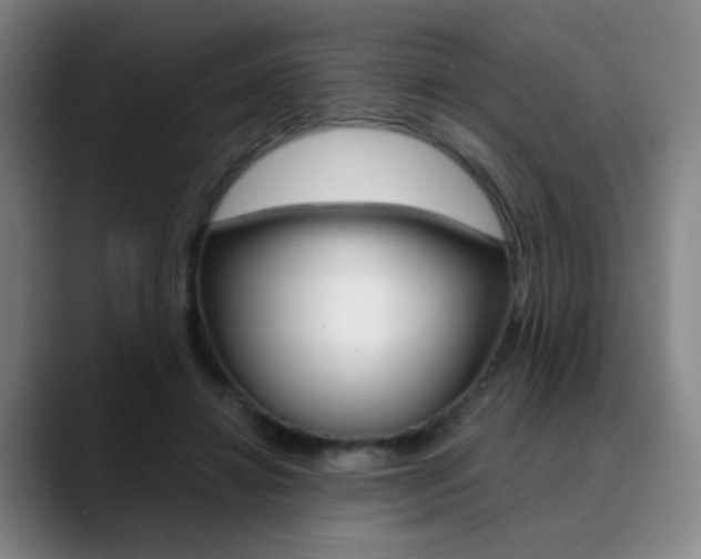 X0000090500452200707130952