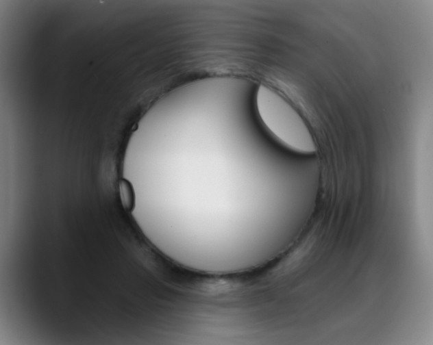 X0000090500453200707130952