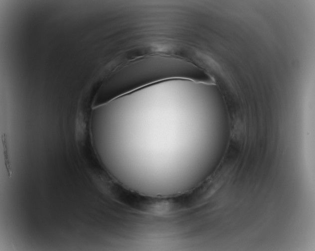 X0000090500456200707130952