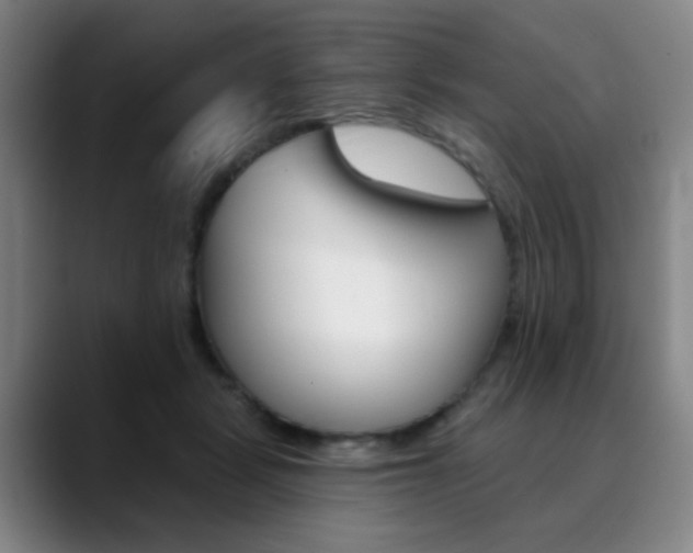 X0000090500461200707130952