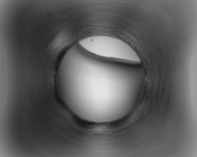 X0000090500462200707130952