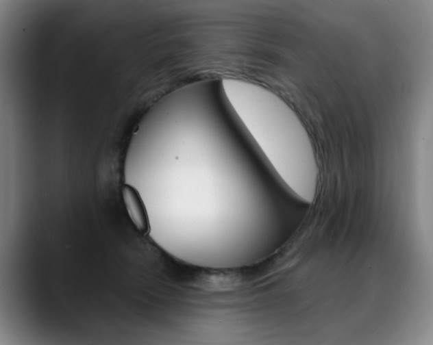 X0000090500466200707130952